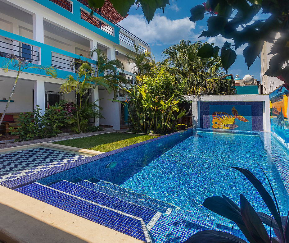 Hummingbird Retreat cozumel apartment rental Cozumel, Quintana Roo